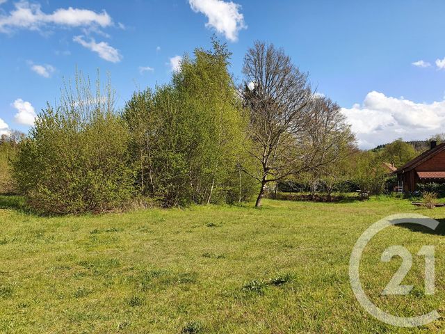Afficher la photo en grand terrain à vendre - 1000.0 m2 - CHAMPAGNEY - 70 - FRANCHE-COMTE - Century 21 D.S.I.