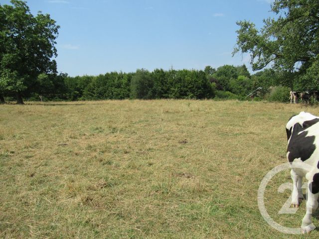 terrain à vendre - 1099.0 m2 - HERICOURT - 70 - FRANCHE-COMTE - Century 21 D.S.I.