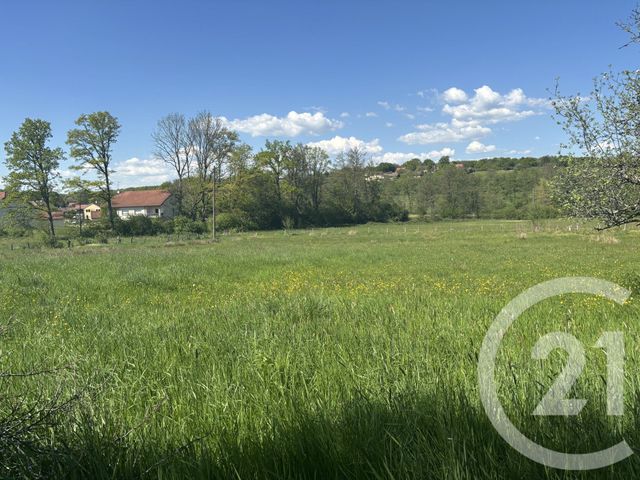 terrain à vendre - 3078.0 m2 - CHENEBIER - 70 - FRANCHE-COMTE - Century 21 D.S.I.