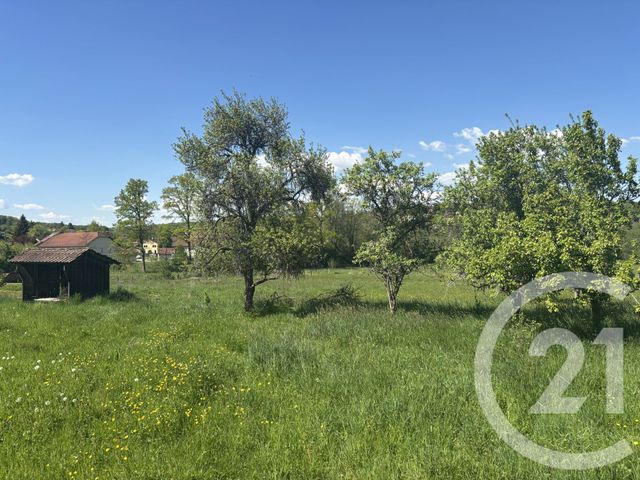 terrain à vendre - 3078.0 m2 - CHENEBIER - 70 - FRANCHE-COMTE - Century 21 D.S.I.