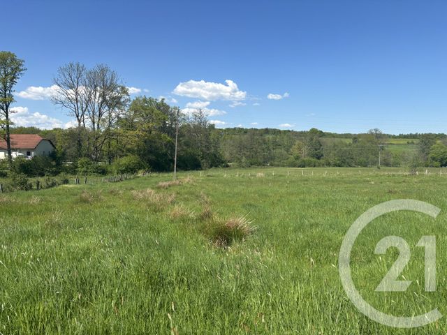 terrain à vendre - 3078.0 m2 - CHENEBIER - 70 - FRANCHE-COMTE - Century 21 D.S.I.