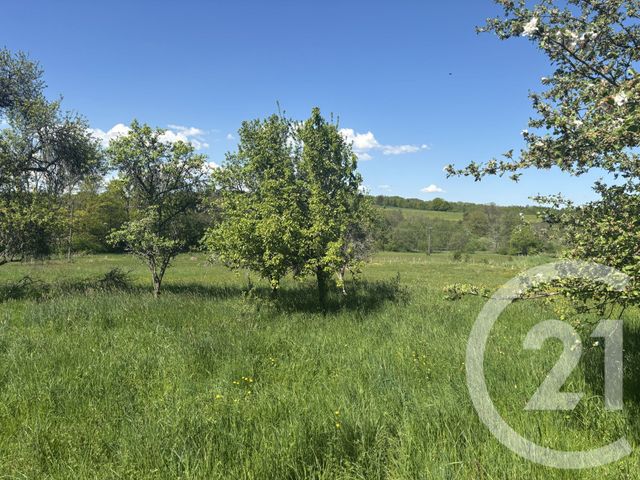 terrain à vendre - 2080.0 m2 - CHENEBIER - 70 - FRANCHE-COMTE - Century 21 D.S.I.
