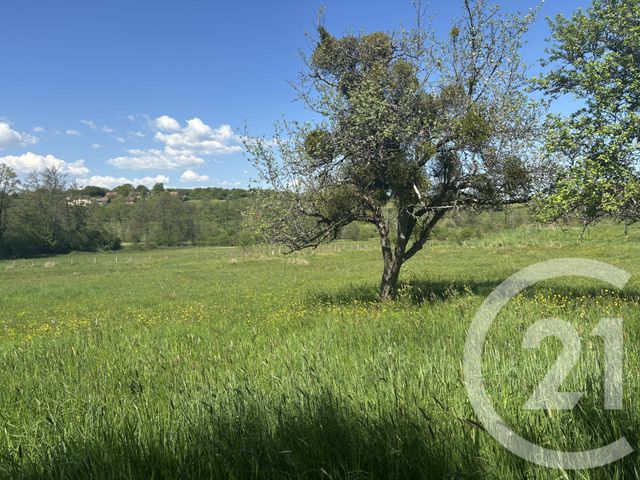 terrain à vendre - 2080.0 m2 - CHENEBIER - 70 - FRANCHE-COMTE - Century 21 D.S.I.