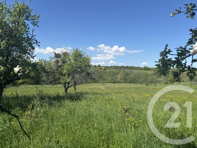 terrain à vendre - 2080.0 m2 - CHENEBIER - 70 - FRANCHE-COMTE - Century 21 D.S.I.
