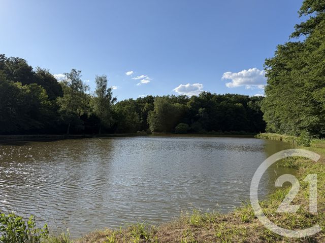 terrain à vendre - 21513.0 m2 - FRAHIER ET CHATEBIER - 70 - FRANCHE-COMTE - Century 21 D.S.I.