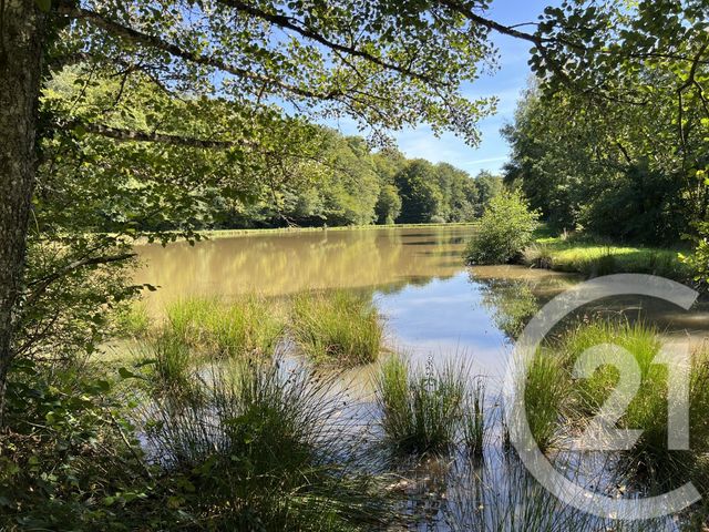 terrain à vendre - 21513.0 m2 - FRAHIER ET CHATEBIER - 70 - FRANCHE-COMTE - Century 21 D.S.I.