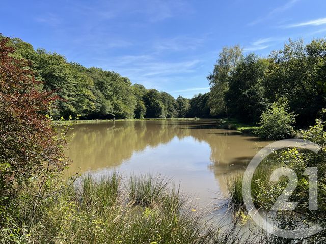 terrain à vendre - 21513.0 m2 - FRAHIER ET CHATEBIER - 70 - FRANCHE-COMTE - Century 21 D.S.I.