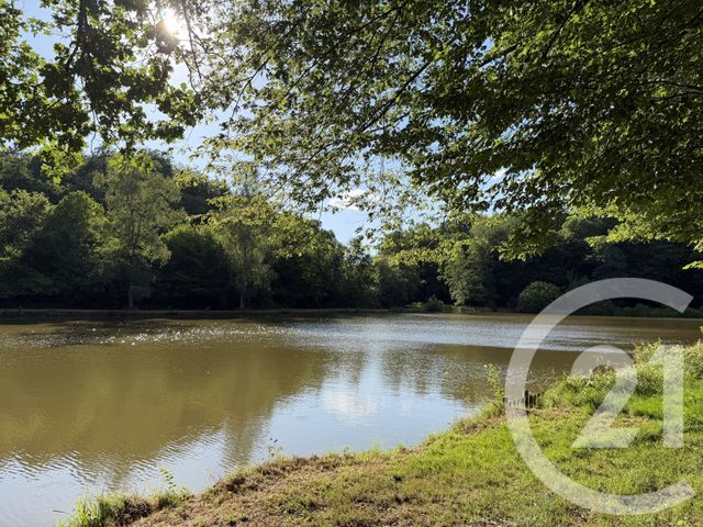 terrain à vendre - 21513.0 m2 - FRAHIER ET CHATEBIER - 70 - FRANCHE-COMTE - Century 21 D.S.I.