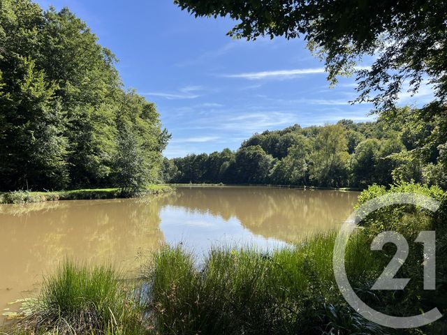 terrain à vendre - 21513.0 m2 - FRAHIER ET CHATEBIER - 70 - FRANCHE-COMTE - Century 21 D.S.I.