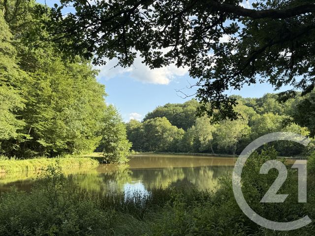 terrain à vendre - 21513.0 m2 - FRAHIER ET CHATEBIER - 70 - FRANCHE-COMTE - Century 21 D.S.I.