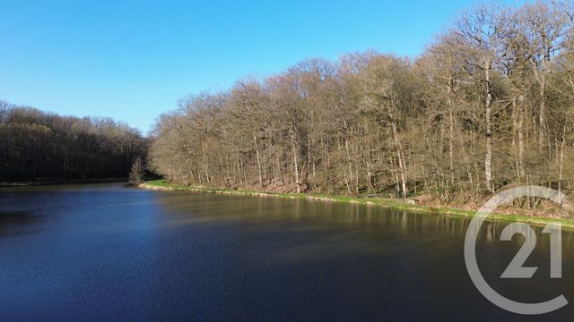 terrain - CHAMPAGNEY - 70