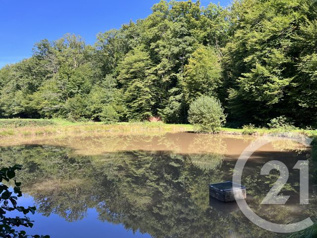 terrain à vendre - 21513.0 m2 - FRAHIER ET CHATEBIER - 70 - FRANCHE-COMTE - Century 21 D.S.I.